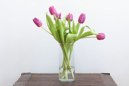 Praxis Lamberz Blumen Praxis Lamberz Blumen